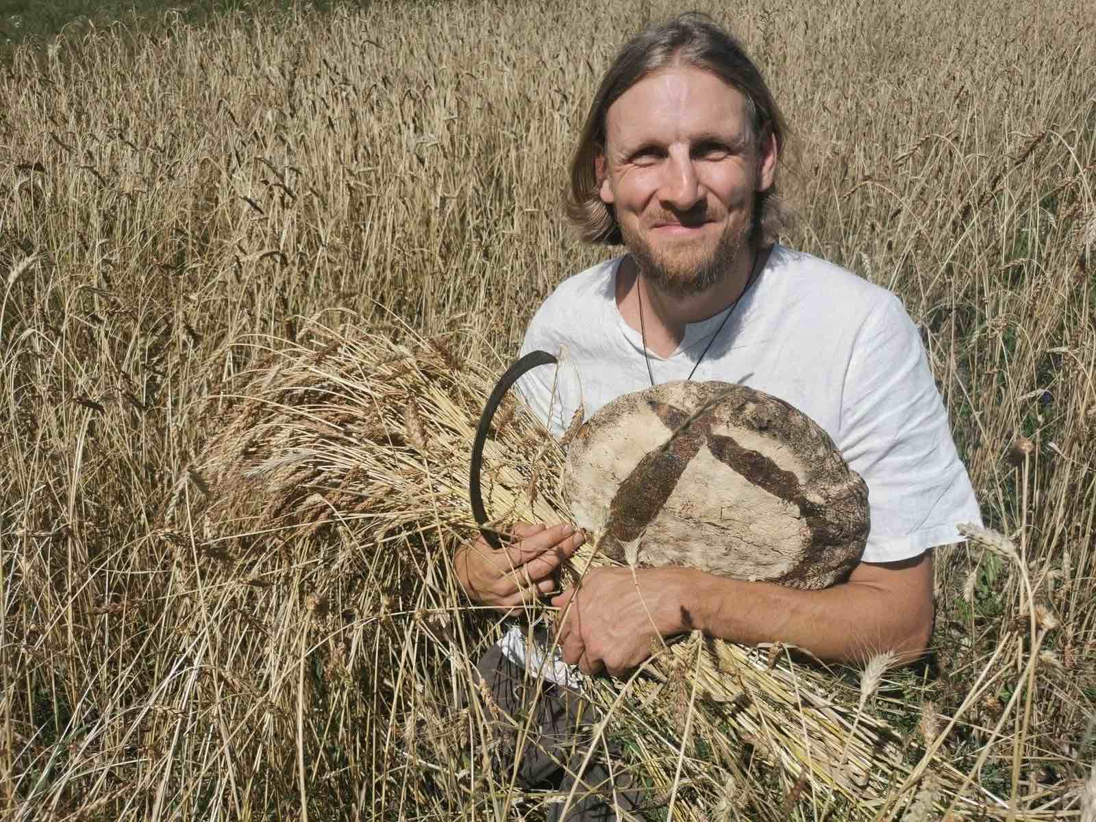 Kepėjas Rupertas grūdų lauke su šviežiu kepalu duonos